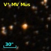 V* MV Mus