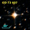 CD-73   607