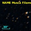 NAME MUSCA FILAMENT