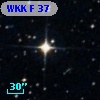 WKK F 37