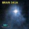 BRAN 341A