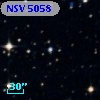 NSV  5058