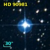 HD  90981