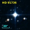 HD  91736