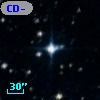 CD-79   431