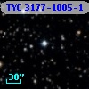TYC 3177-1005-1
