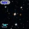 NSV  4995