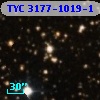 TYC 3177-1019-1