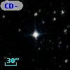 CD-80   374