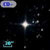 CD-80   398