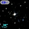 CD-80   350