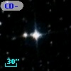 CD-80   368