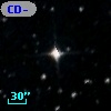 CD-80   375
