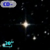 CD-80   392