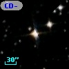 CD-81   344