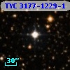 TYC 3177-1229-1