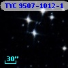 TYC 9507-1012-1