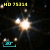 HD  75314