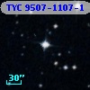 TYC 9507-1107-1