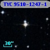 TYC 9510-1247-1