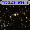 TYC 3177-1609-1