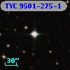 TYC 9501-275-1