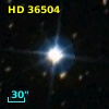 HD  36504