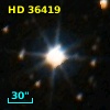 HD  36419