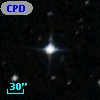 CPD-84    61