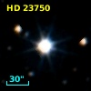 HD  23750
