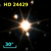 HD  24429