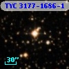 TYC 3177-1686-1