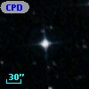 CPD-81    19