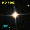 HD   7403
