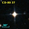 CD-80    37