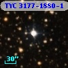TYC 3177-1880-1