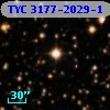 TYC 3177-2029-1