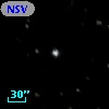 NSV   331