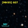 [MH95]  607