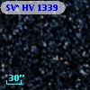 SV* HV  1339