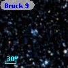 Bruck   9