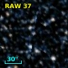 RAW   37