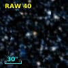 RAW   40