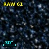 RAW   61