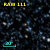 RAW  111