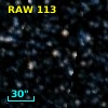 RAW  113