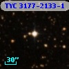 TYC 3177-2133-1