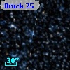 Bruck  25