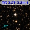 TYC 3177-2134-1