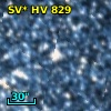 SV* HV   829